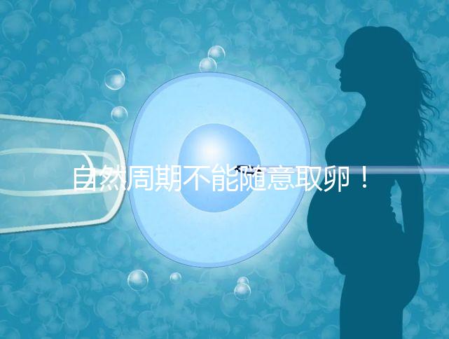 自然周期不能隨意取卵！滿足3點要求才能順利進行