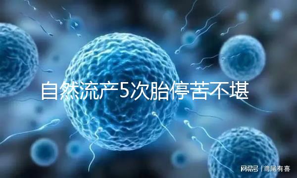 自然流產(chǎn)5次胎停苦不堪言, 試管嬰兒助孕一朝分娩喜之不盡!