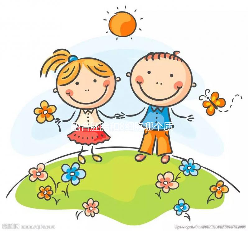 融合胚胎和8細胞哪個質量好大揭秘，二者區別看完就懂