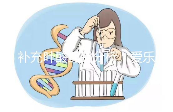 補充葉酸藥品分析：愛樂維和斯利安哪個孕期更需？