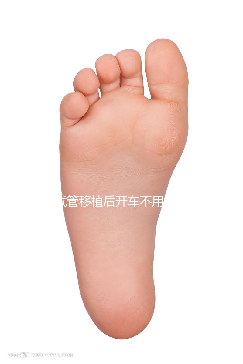 試管移植后開車不用太講究，休息和出行問題解答都在這里