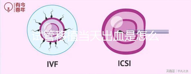 試管移植當天出血是怎么回事？收好你的“玻璃心”別太擔心