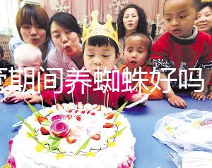 試管期間養蜘蛛好嗎？人們告訴你，這些影響應該早知道