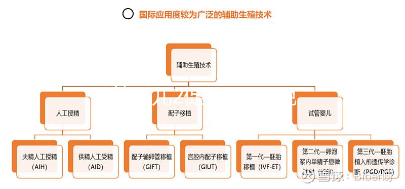 試管嬰兒2促3移，說說5點我的成功懷孕經驗