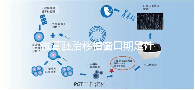 试管胚胎移植窗口期是什么？如何选对时机？