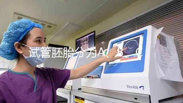 試管胚胎分為A、B、C、D四級,那么每一級分別代表什么?
