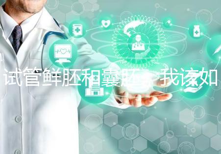 試管鮮胚和囊胚，我該如何選？