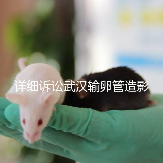 詳細訴訟武漢輸卵管造影檢查多少錢,能否報銷,不要錯過