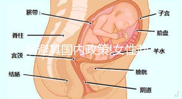 規(guī)避其國內政策!女性赴俄羅斯冷凍卵子掀“熱潮”