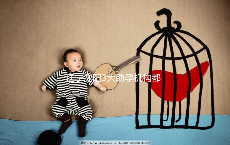 遼寧沈陽3大助孕機(jī)構(gòu)都在這,來看看你知道幾家