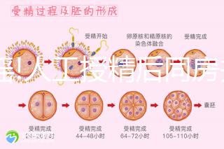 辟謠!人工授精后同房并不能增成功率,相反只能降低好孕幾率