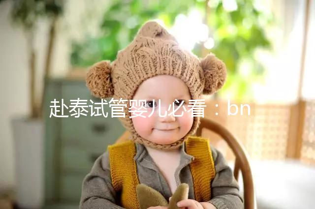 赴泰試管嬰兒必看：bnh和ibaby(愛寶貝)醫(yī)院對比介紹