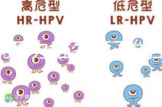 誰說不辦準生證不能上戶，2020年生育新政策了解下！