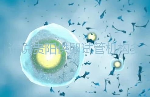 誰說貴陽供卵試管機構多給錢就不用排隊，醫生：不亂收費