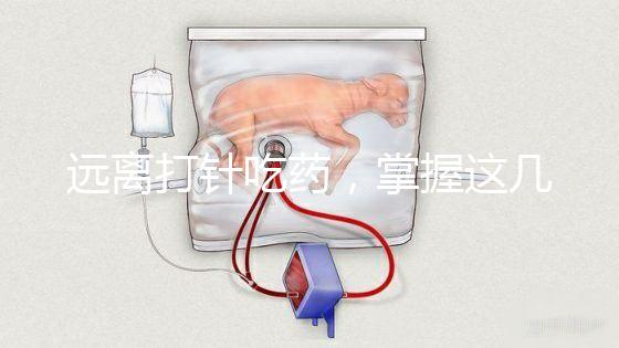 遠(yuǎn)離打針吃藥，掌握這幾個小妙招寶寶退燒會更快