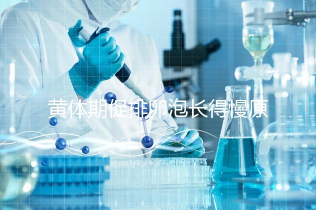 黃體期促排卵泡長得慢原因已找到！4種手段幫你解決