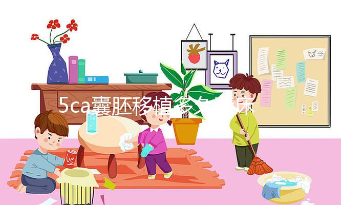 5ca囊胚移植多久著床、有何反應答案來了，第8天白板要警惕