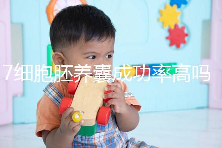 7細胞胚養(yǎng)囊成功率高嗎？聽聽做過試管的姐妹怎么說