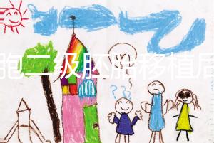 9細(xì)胞二級(jí)胚胎移植后8天沒(méi)感覺(jué),成功率依然很高