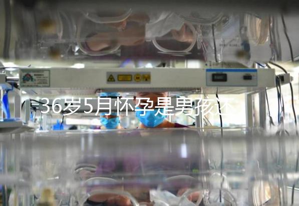 36歲5月懷孕是男孩還是女孩？這些生男生女特征可以看看