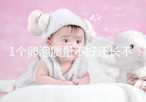 1個卵泡質量不好還長不大，如何提高試管嬰兒懷孕成功率？