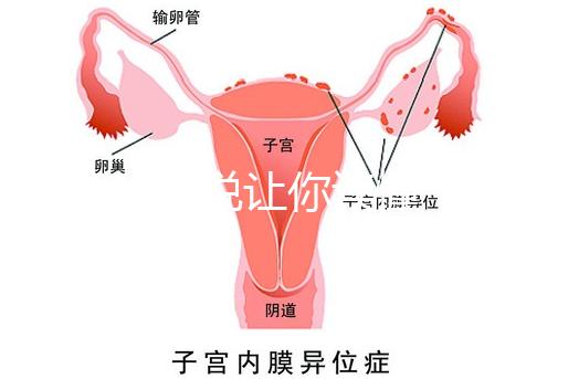 1分鐘解說讓你讀懂,排卵試紙白板一根線等各個(gè)反應(yīng)