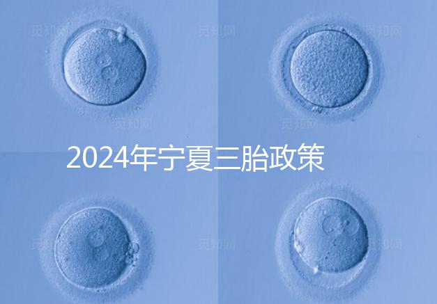2024年寧夏三胎政策最新規定來襲，附西夏區實施時間