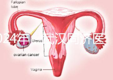 2024年，武漢同濟醫院不孕癥醫生排名公布，選擇專家迅速登記