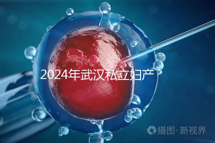 2024年武漢私立婦產(chǎn)醫(yī)院排名前十，江漢區(qū)人流良好