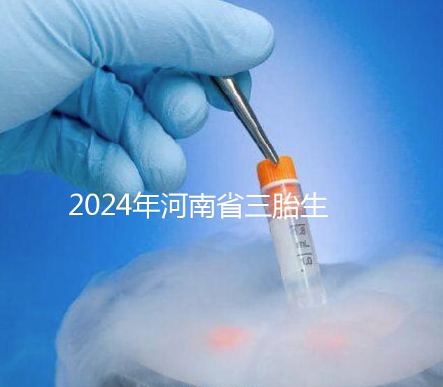 2024年河南省三胎生育津貼發(fā)生變化!南陽和信陽最高獎勵20萬!