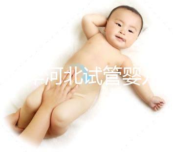 2024年河北試管嬰兒費用可以報銷嗎？補貼金額真的那么大？