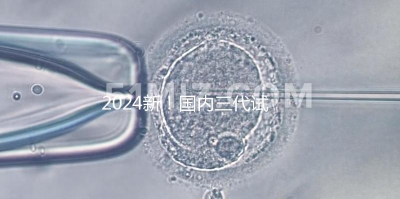 2024新!國內(nèi)三代試管醫(yī)院推薦:共10家機構(gòu)名單