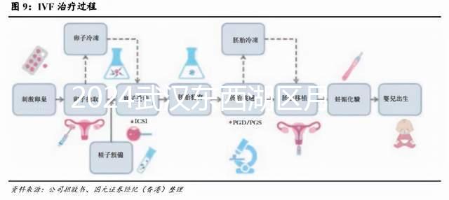 2024武漢東西湖區月子中心排行前十，口碑告訴你哪家最好