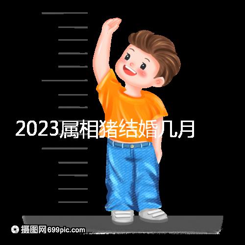 2023屬相豬結(jié)婚幾月好大盤點(diǎn),選對(duì)了年份雙喜纏身